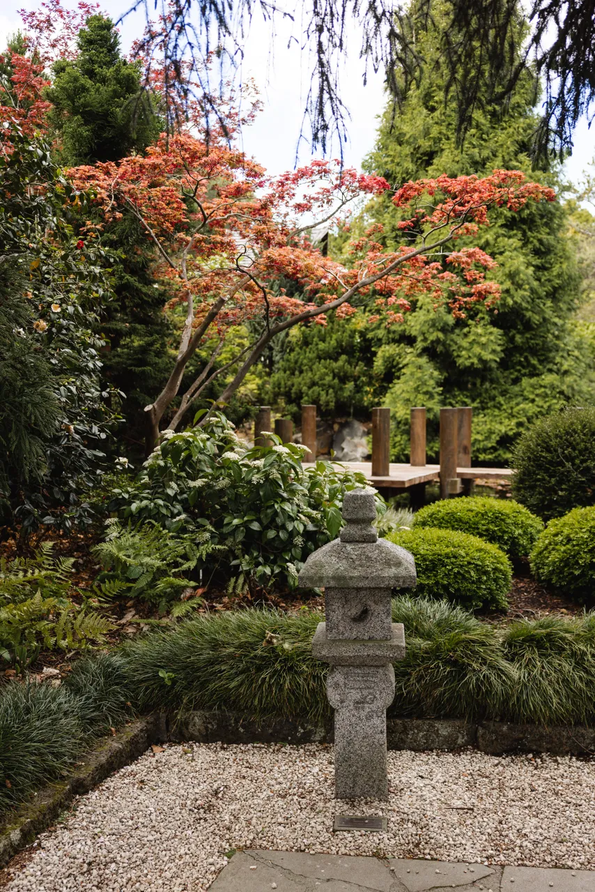 Japanese Garden at the Royal Tasmanian Botanical Gardens