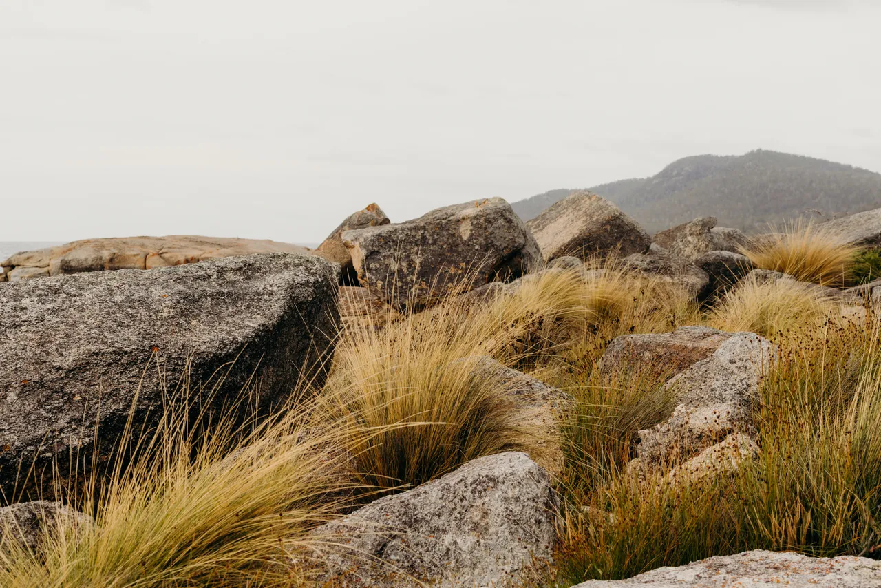 Bicheno Coastline