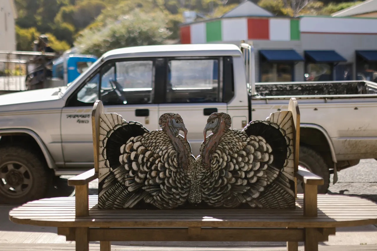 Turkey Bench Seat