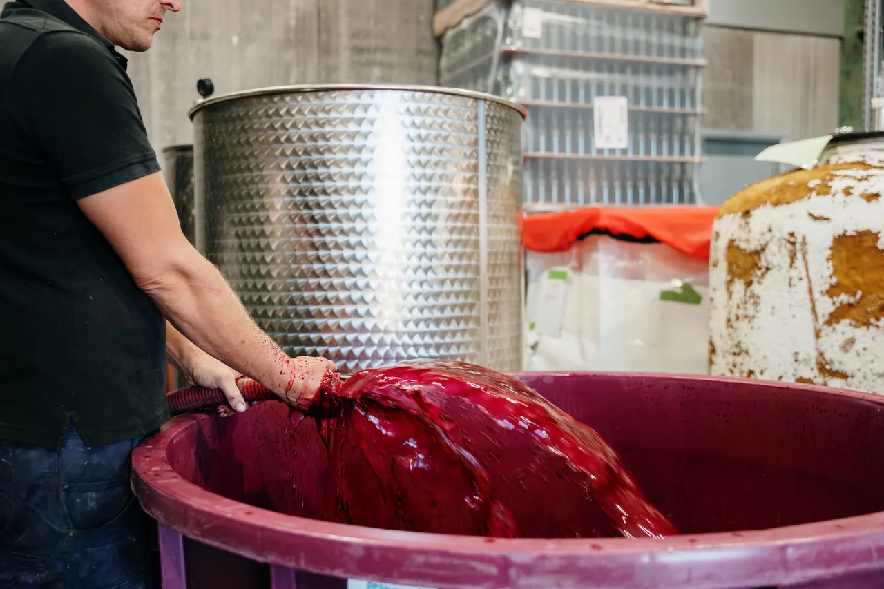 Transferring Wine at Utzinger