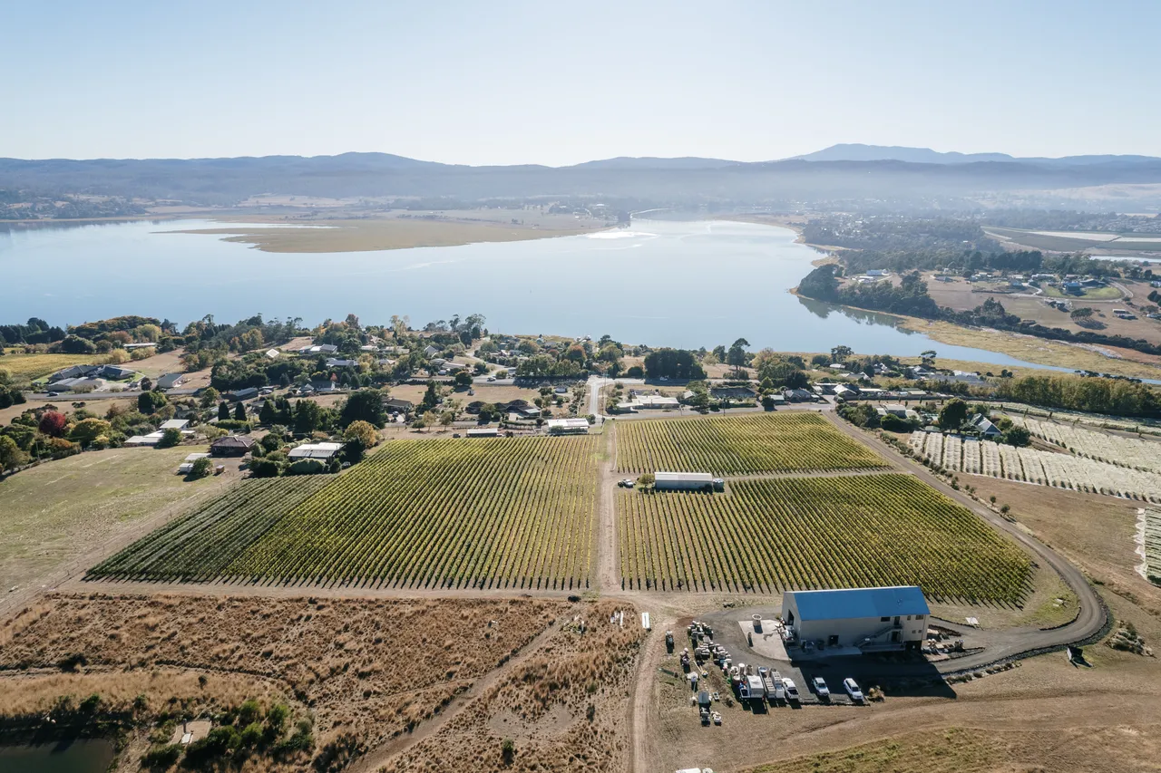 Overlooking Utzinger Wines