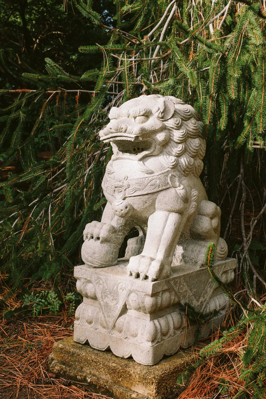 Lion Statue at the Royal Tasmanian Botanical Gardens
