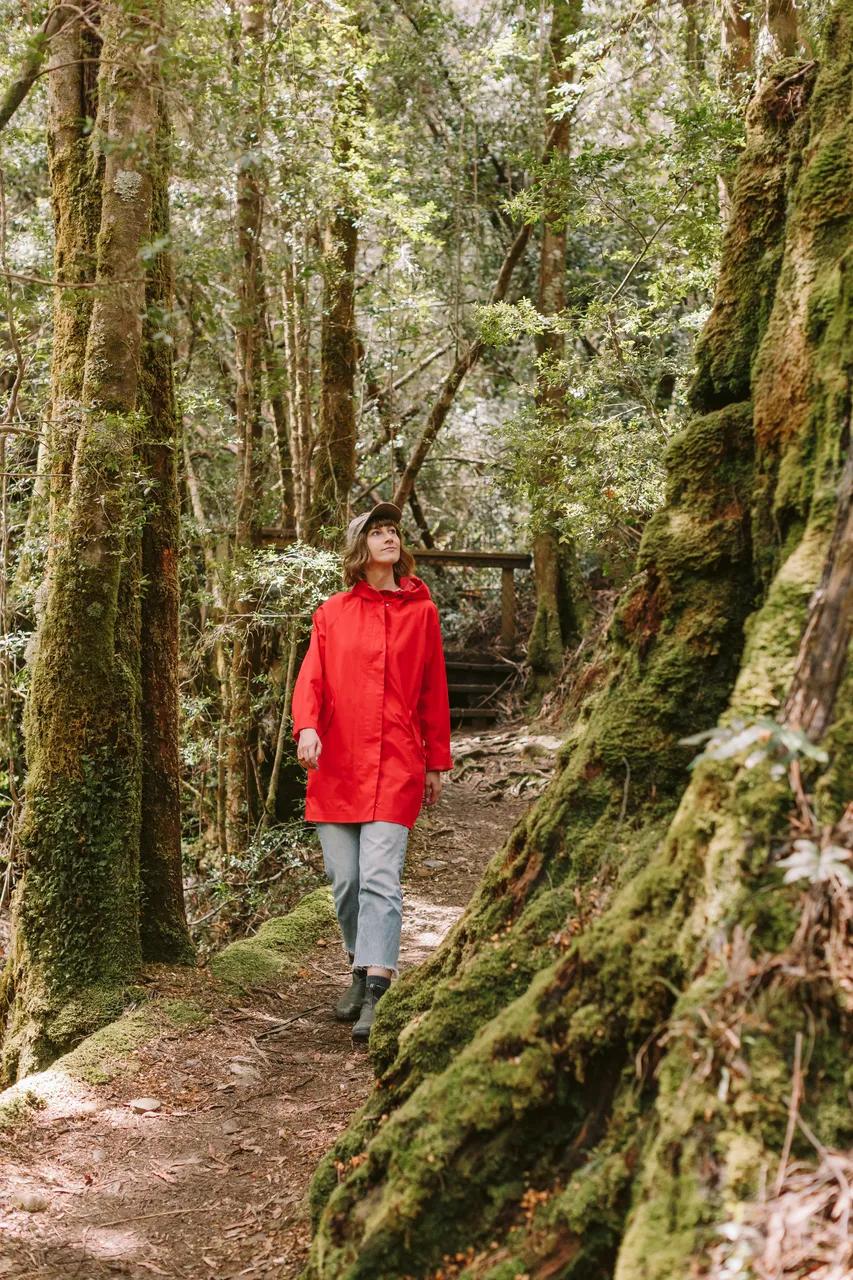 Frenchmans Cap Track