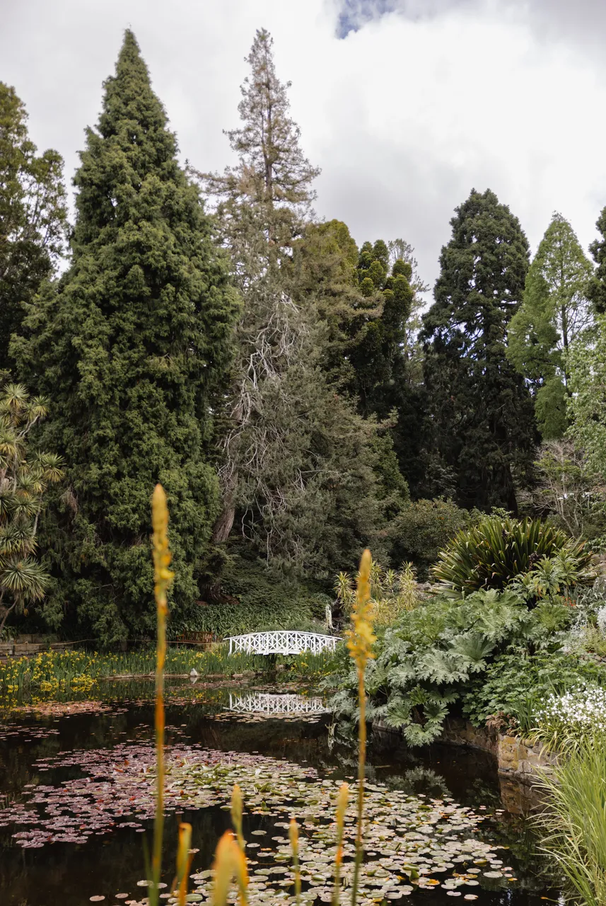 Royal Tasmanian Botanical Gardens