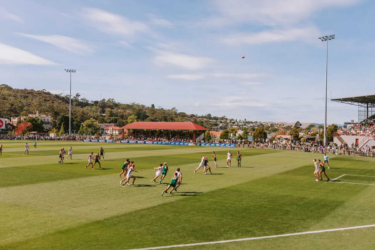 Tasmania Devils Game