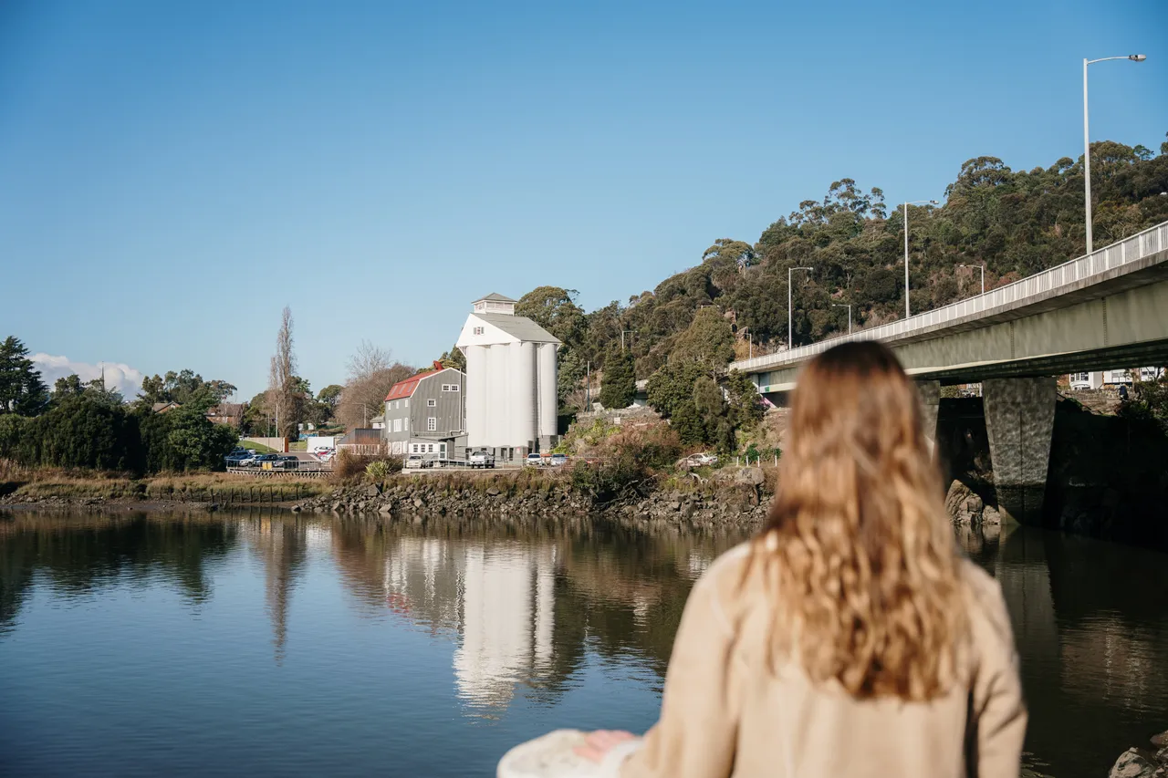 Views Over River Tamar