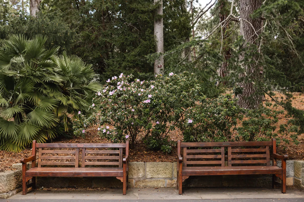 Benches at the Royal Tasmanian Botanical Gardens
