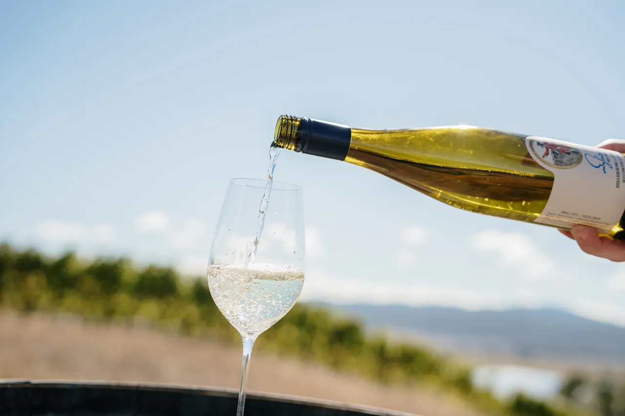 Wellington and Wolfe Wine