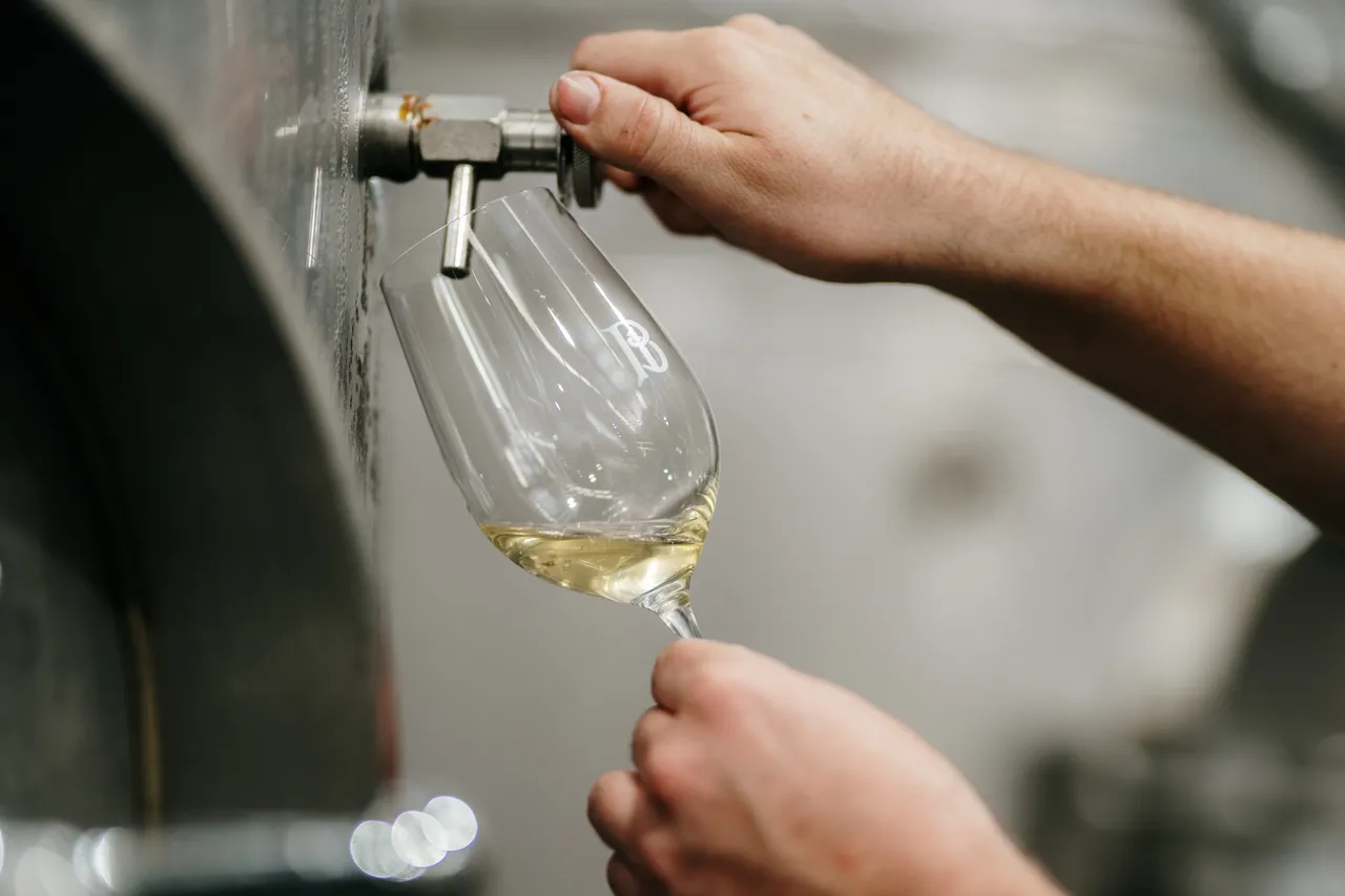 Winemaking at Evenfall Winery