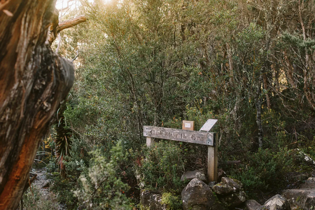 Mount Field Walking Track