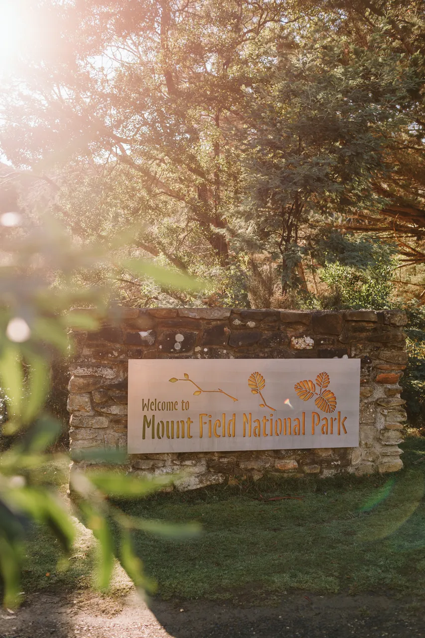 Mount Field Entrance