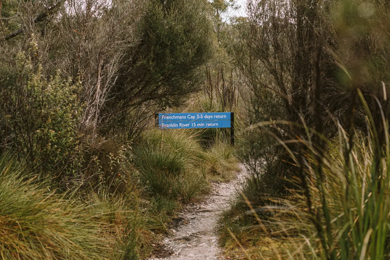 Frenchmans Cap Walking Trail Signage