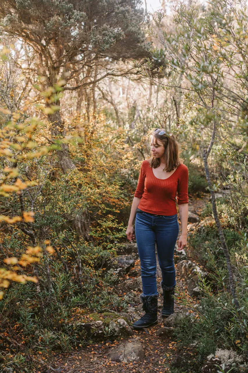 Person Walking Through Fagus