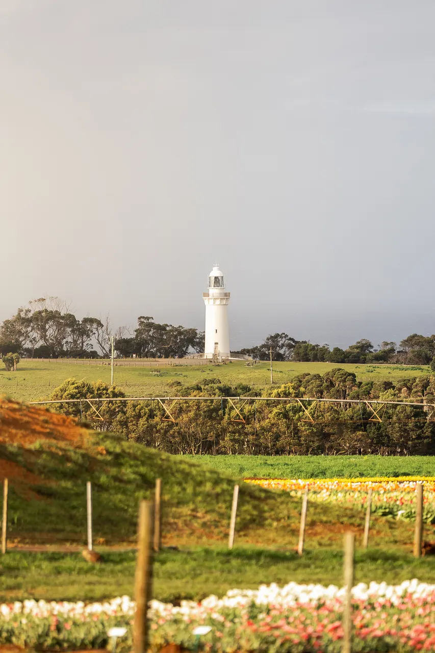 Table Cape Lighthouse