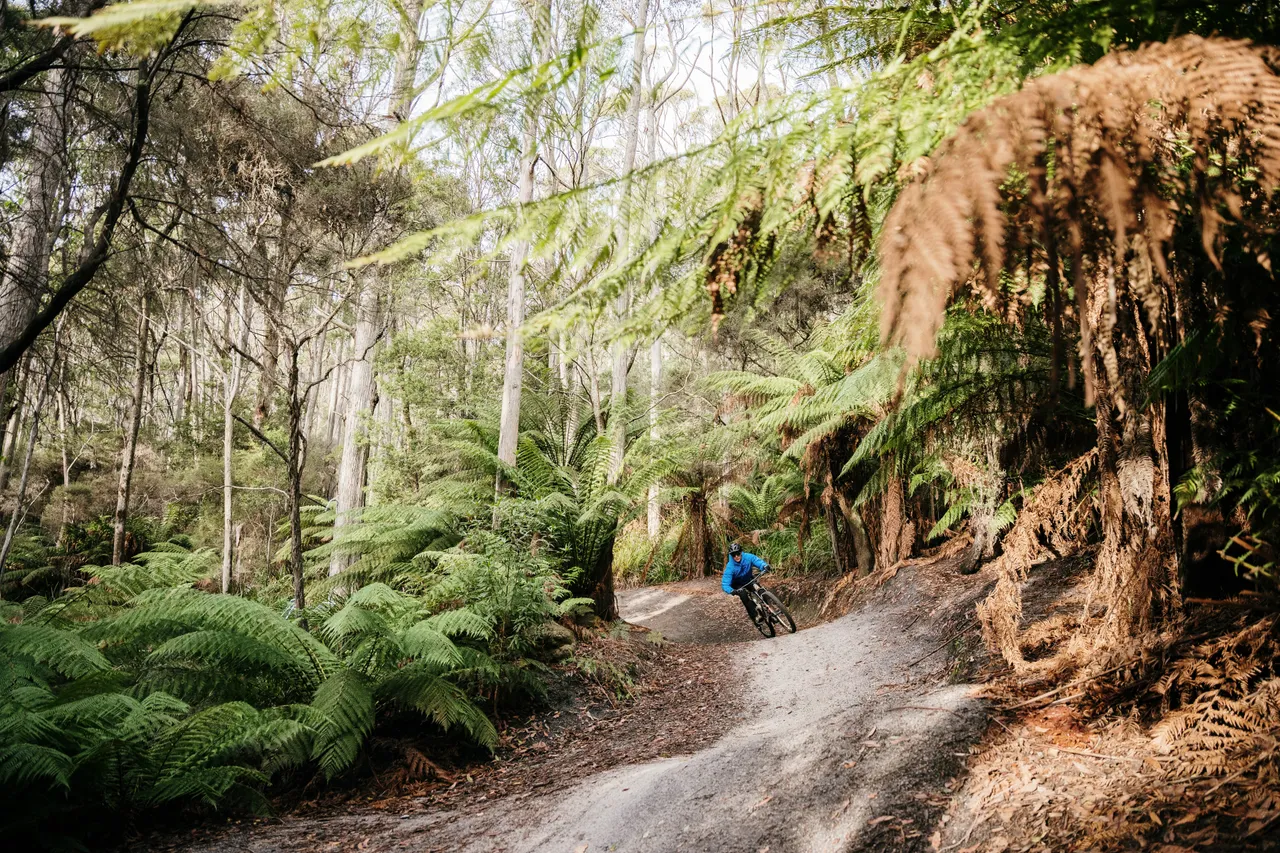 Mountain Biking in Derby