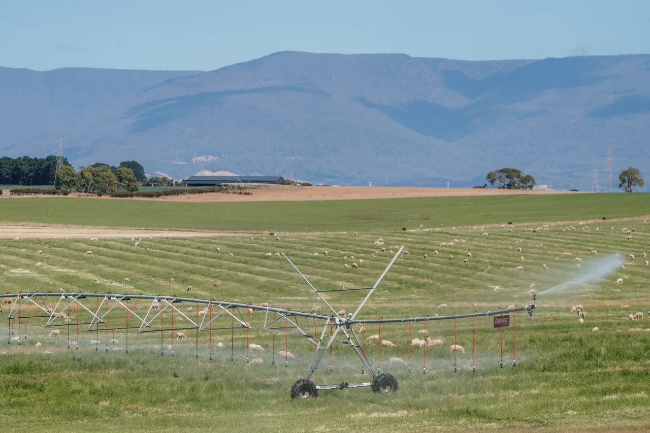 Northern Midlands Landscape