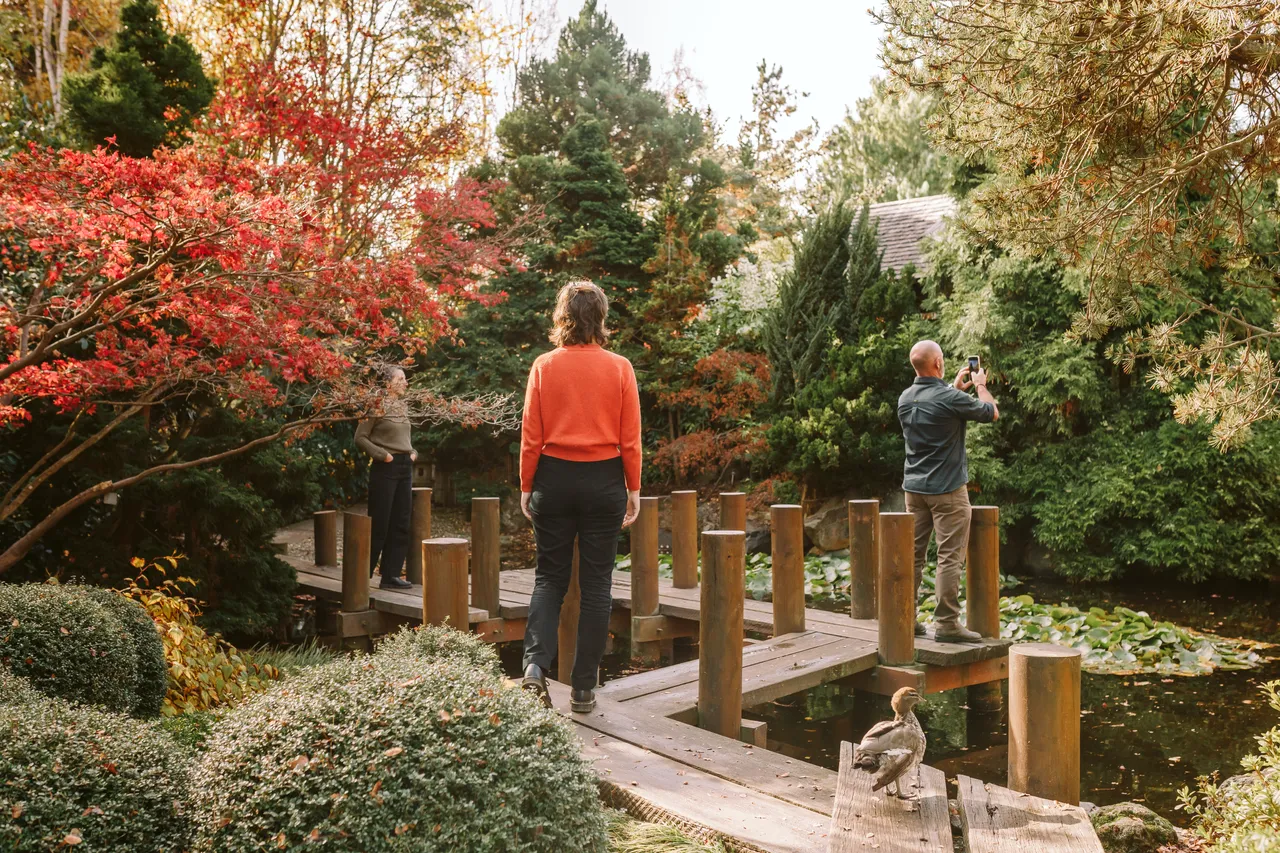 Japanese Garden at the Royal Tasmanian Botanical Gardens