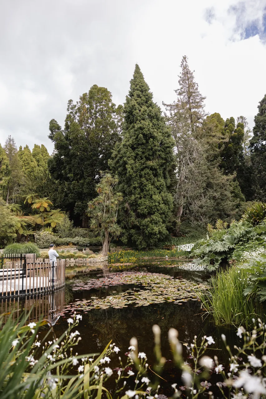 Royal Tasmanian Botanical Gardens