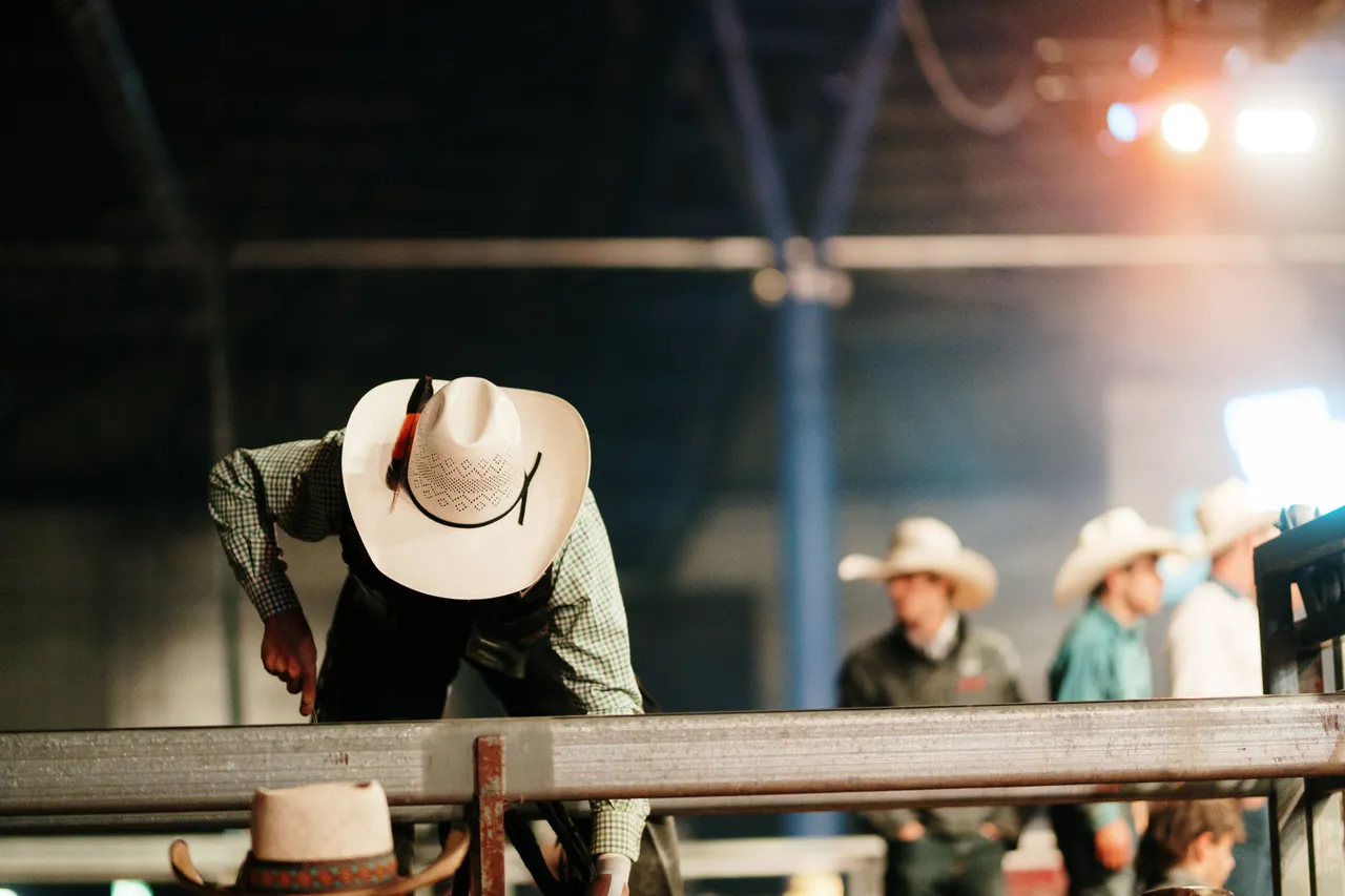 Bull Rider at the Island Stampede Rodeo