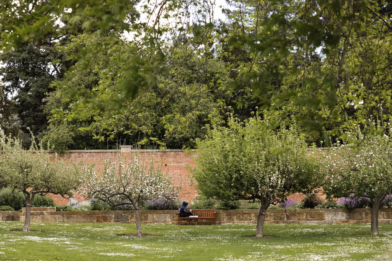 Royal Tasmanian Botanical Gardens