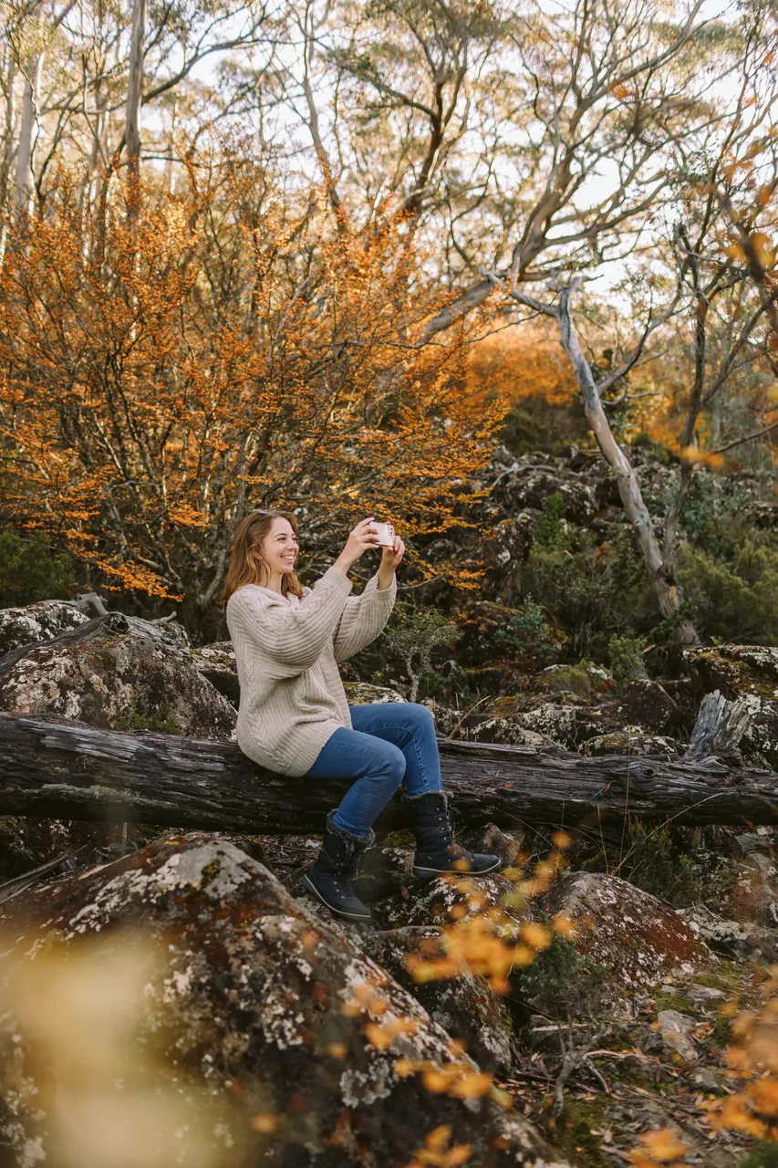 Woman Sitting Among Fagus