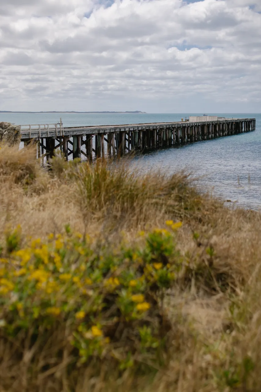 Naracoopa Jetty