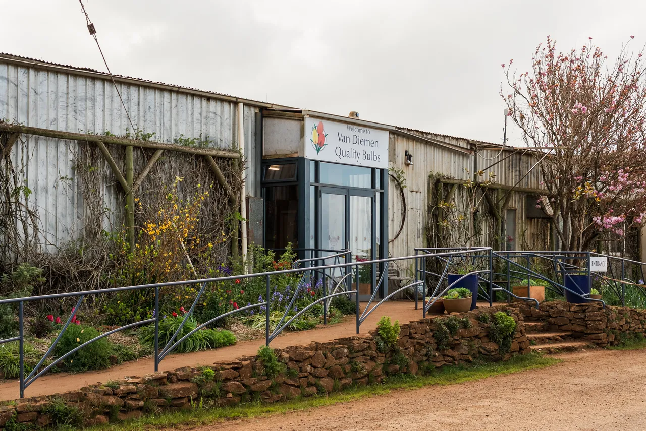 Table Cape Tulip Farm