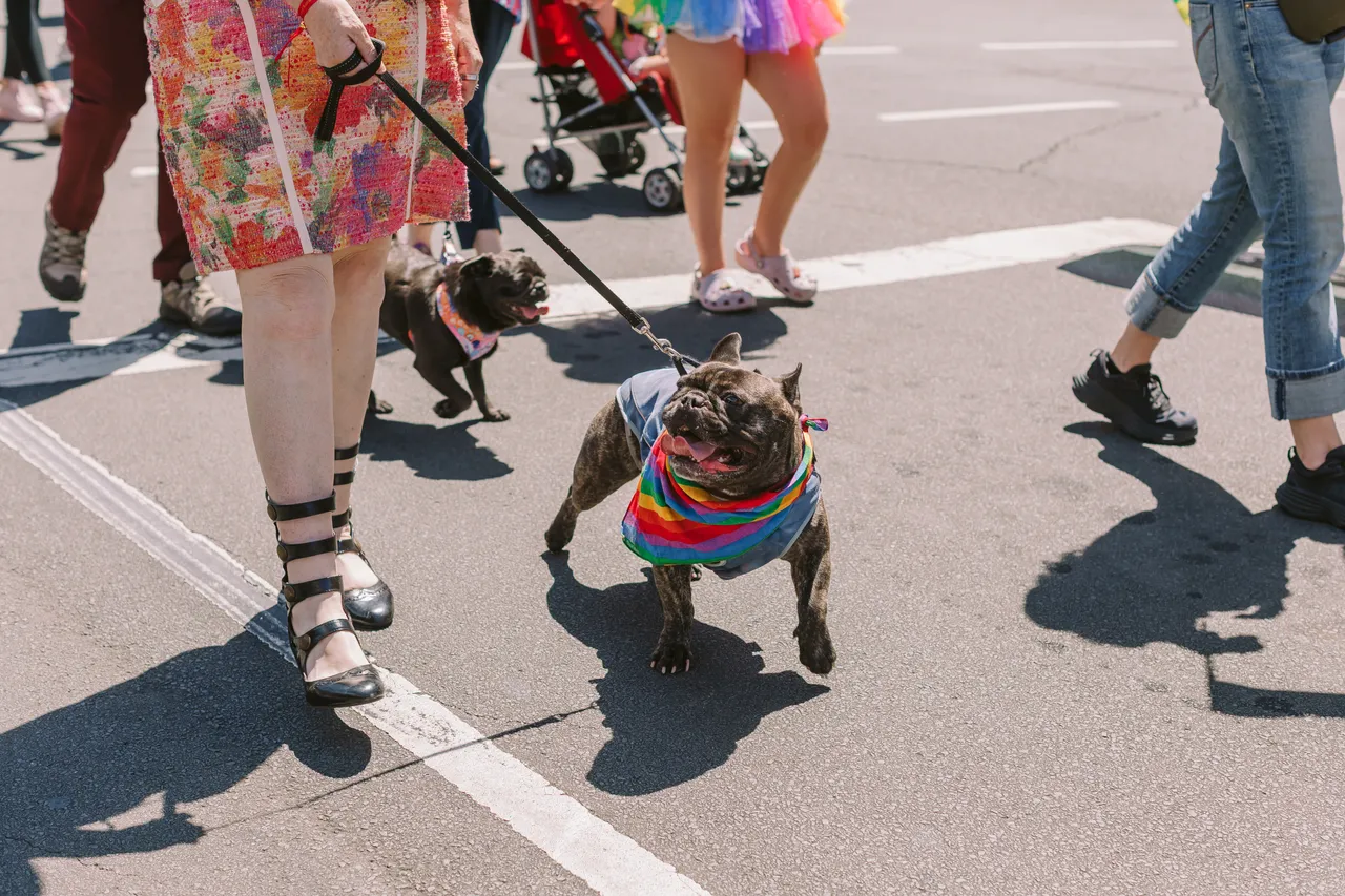 Tas Pride Parade