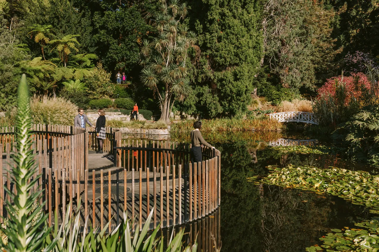 Pond at the Royal Tasmanian Botanical Gardens