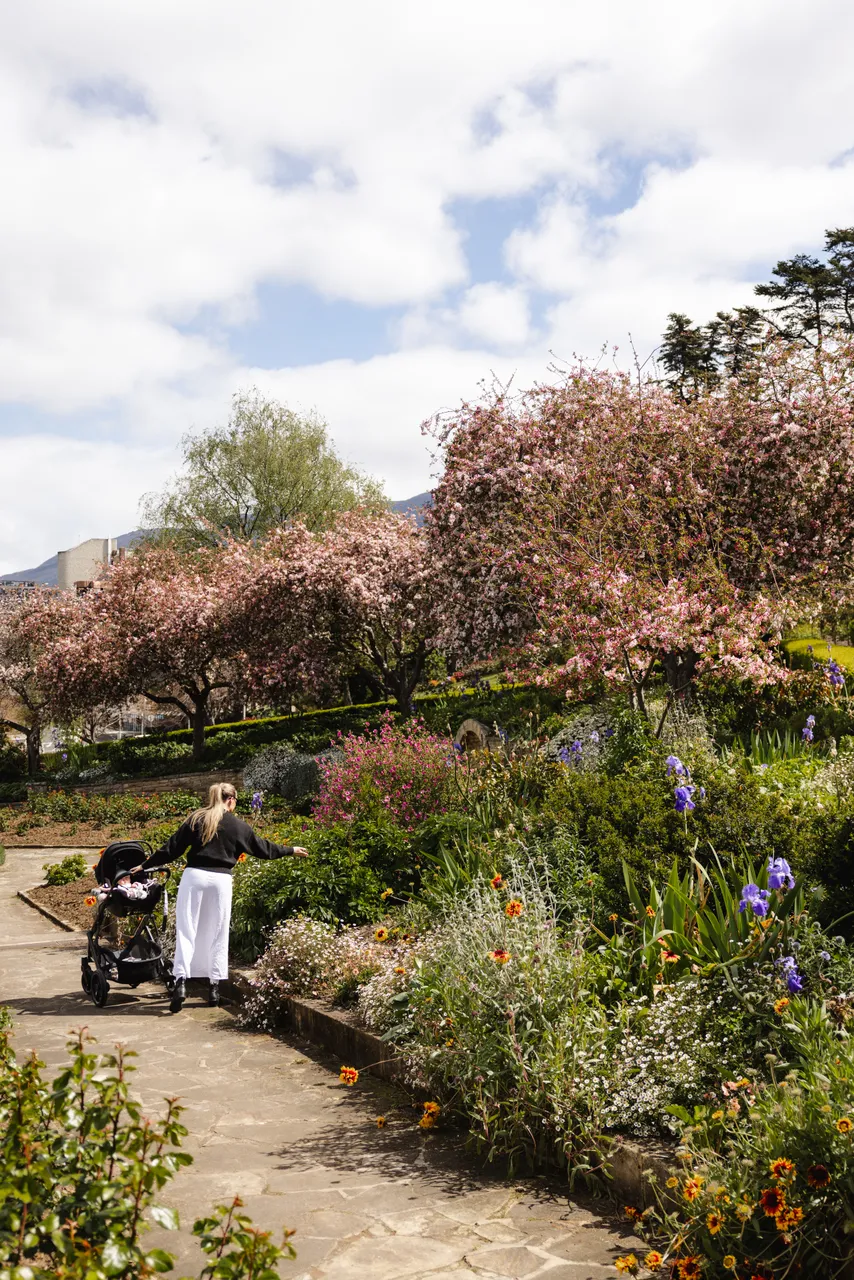  University Rose Gardens