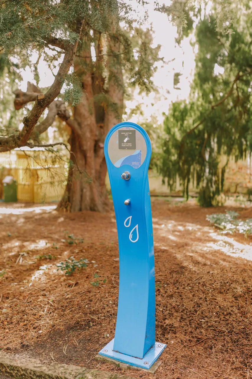 Water Refill Station at the Royal Tasmanian Botanical Gardens