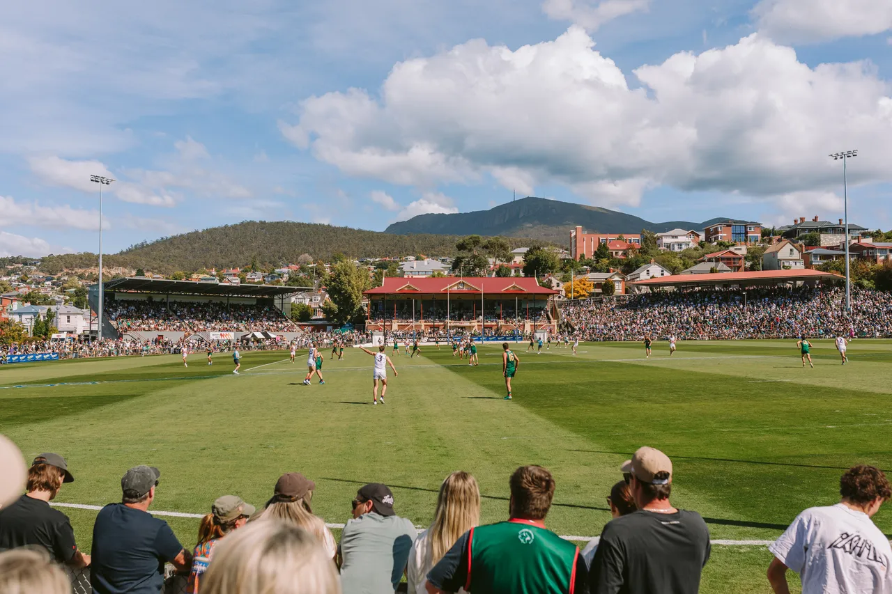 Tasmania Devils Game