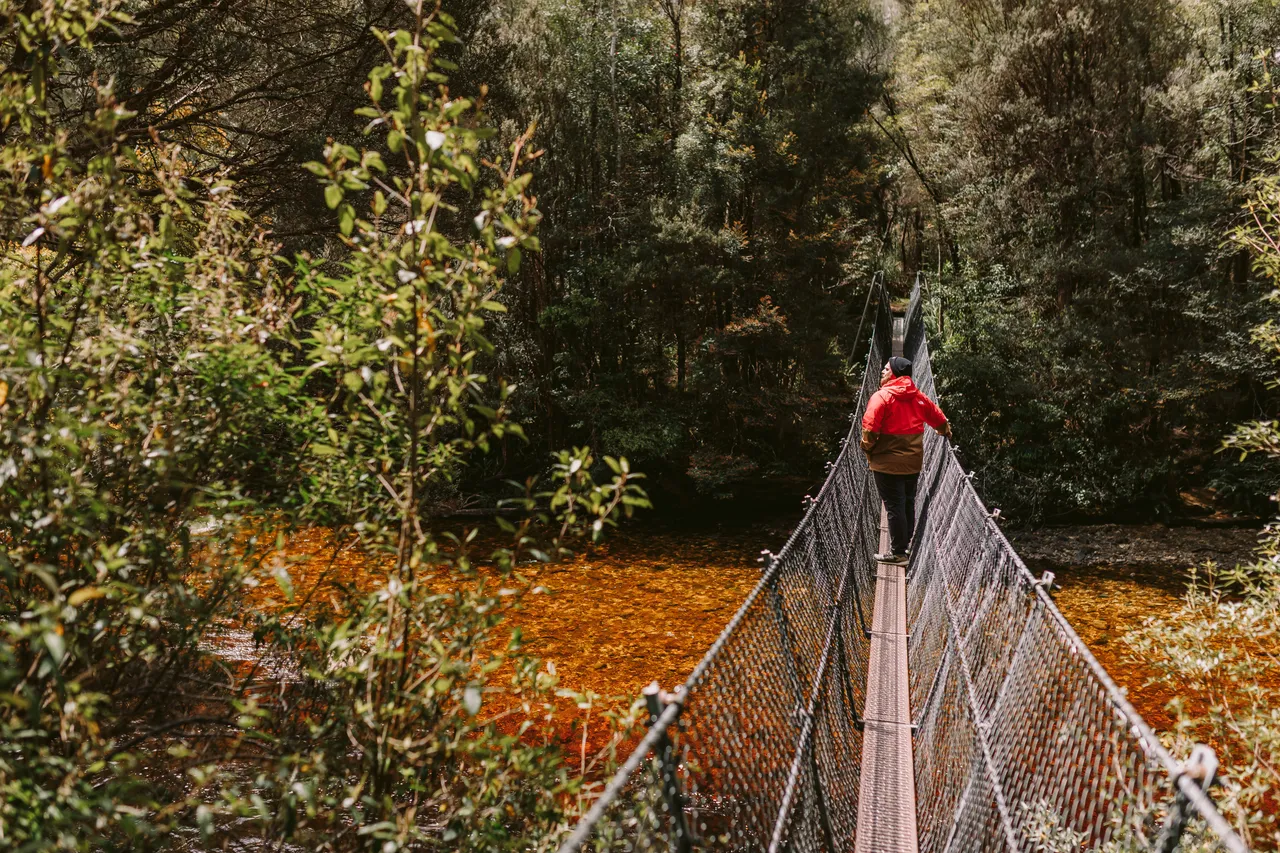 Frenchmans Cap Suspension Bridge