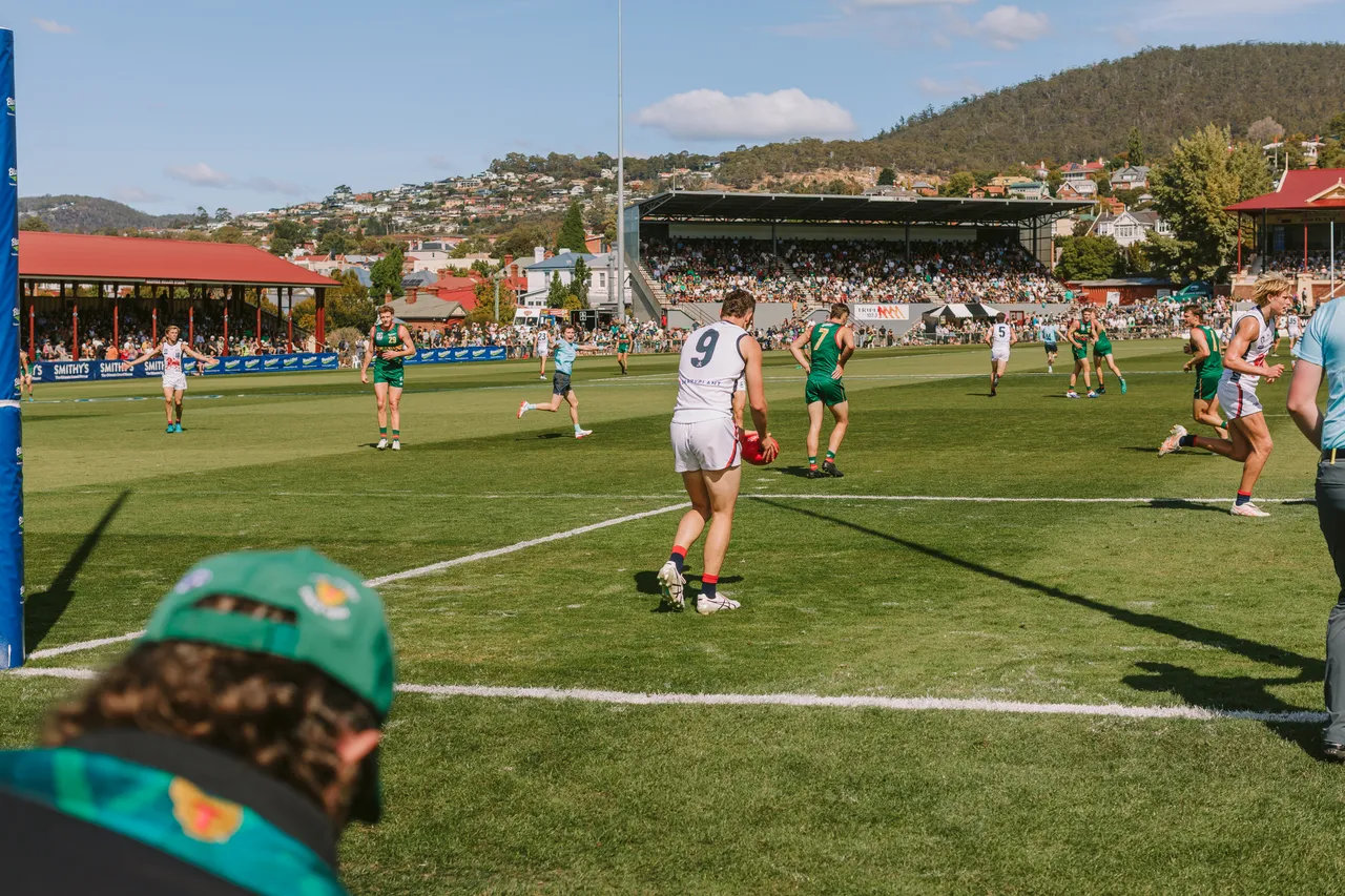 Tasmania Devils Game
