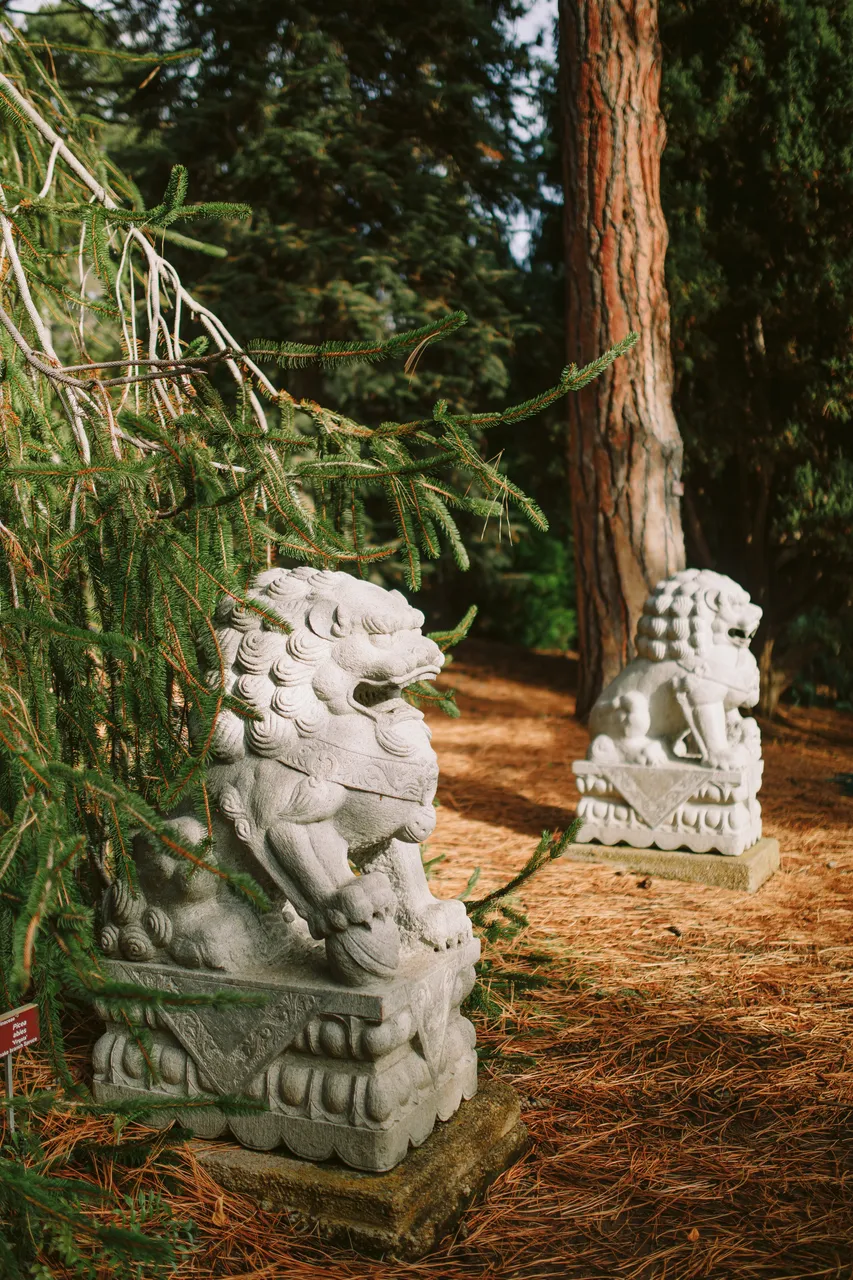 Lion Statues at the Royal Tasmanian Botanical Gardens
