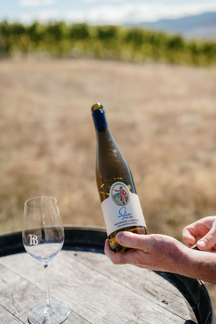 Wellington and Wolfe Wine