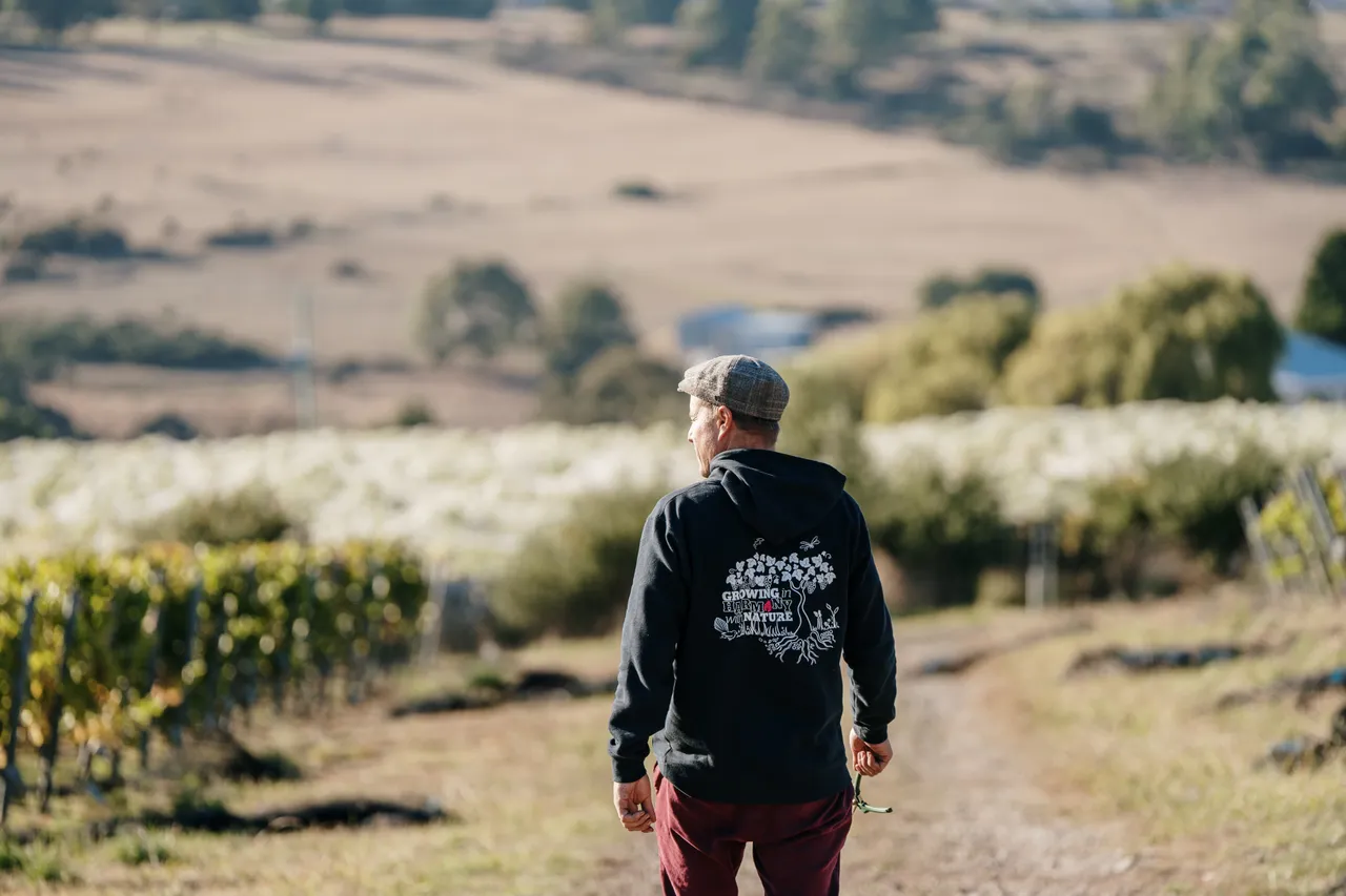 Utzinger Wines