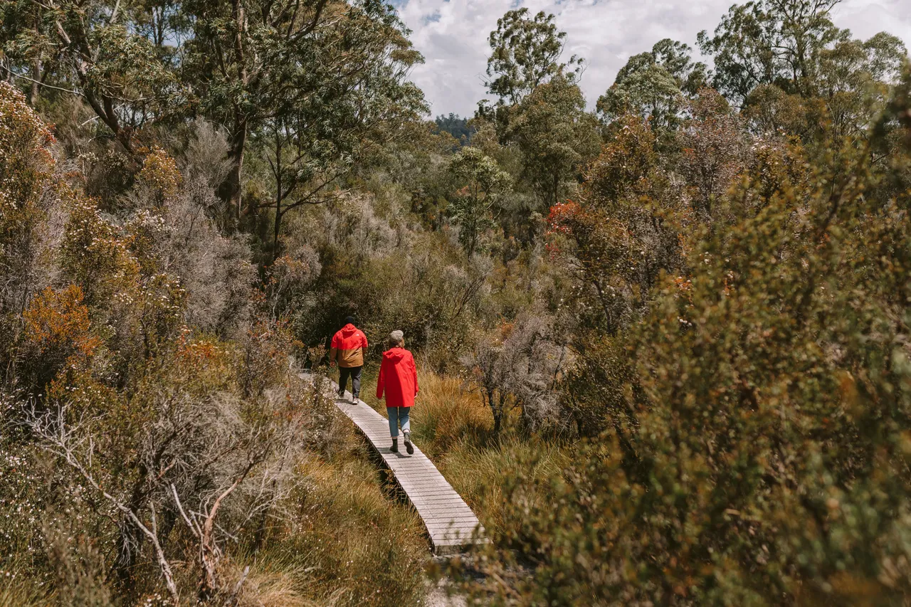 Frenchmans Cap Track