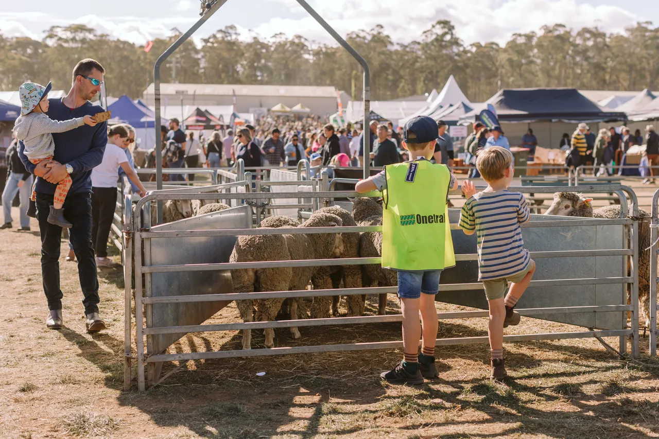 Mustering Sheep at Agfest