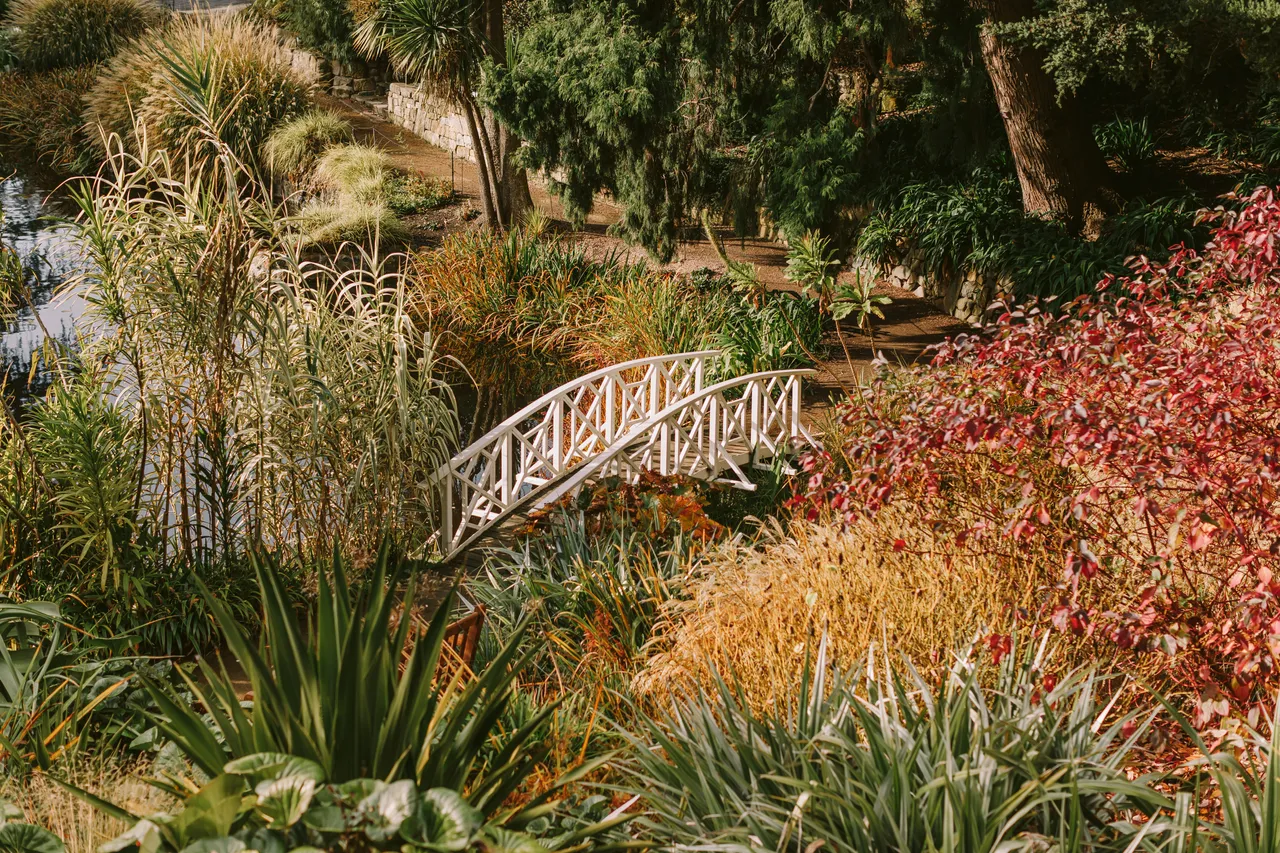 Pond at the Royal Tasmanian Botanical Gardens