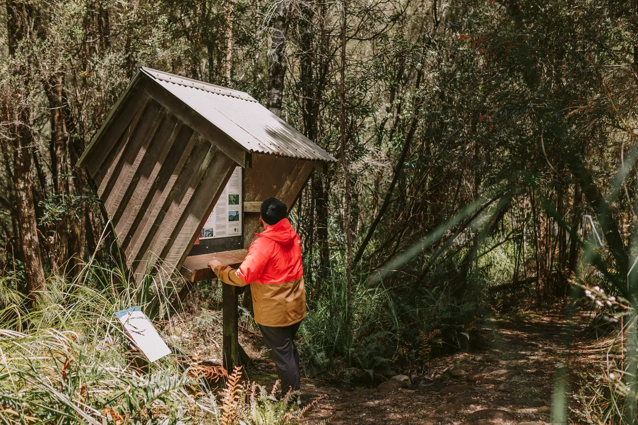 Frenchmans Cap Track Information Board