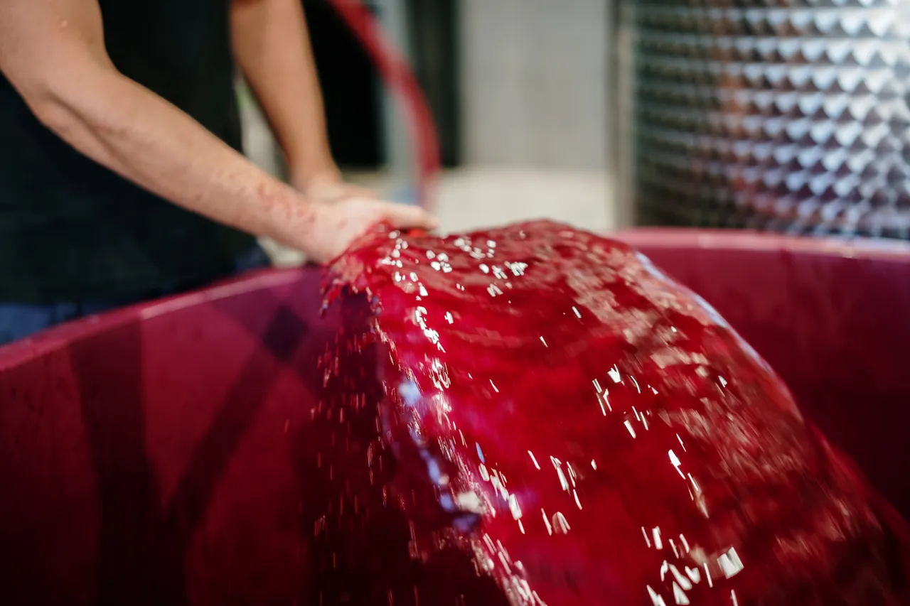 Transferring Wine at Utzinger