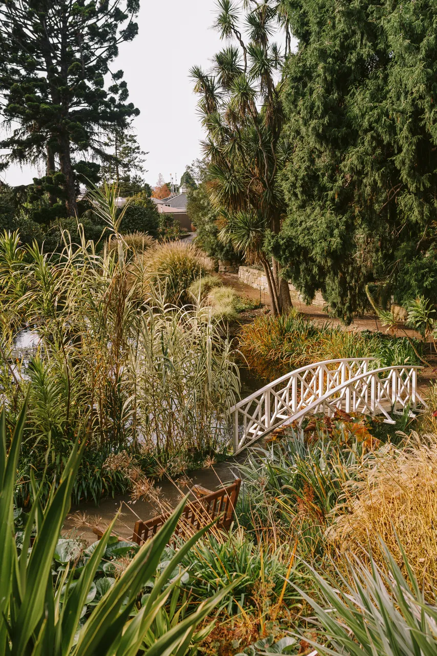 Pond at the Royal Tasmanian Botanical Gardens