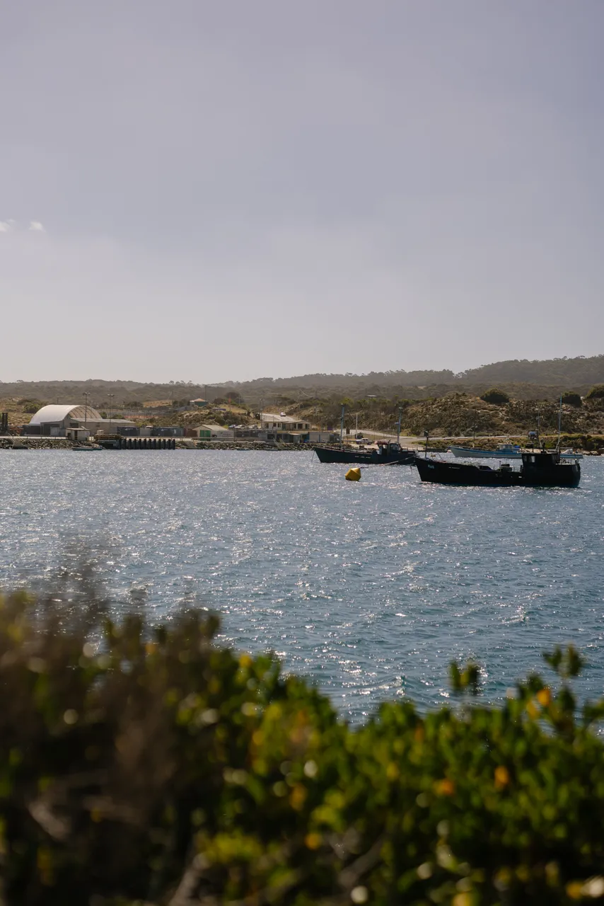 Port of Grassy
