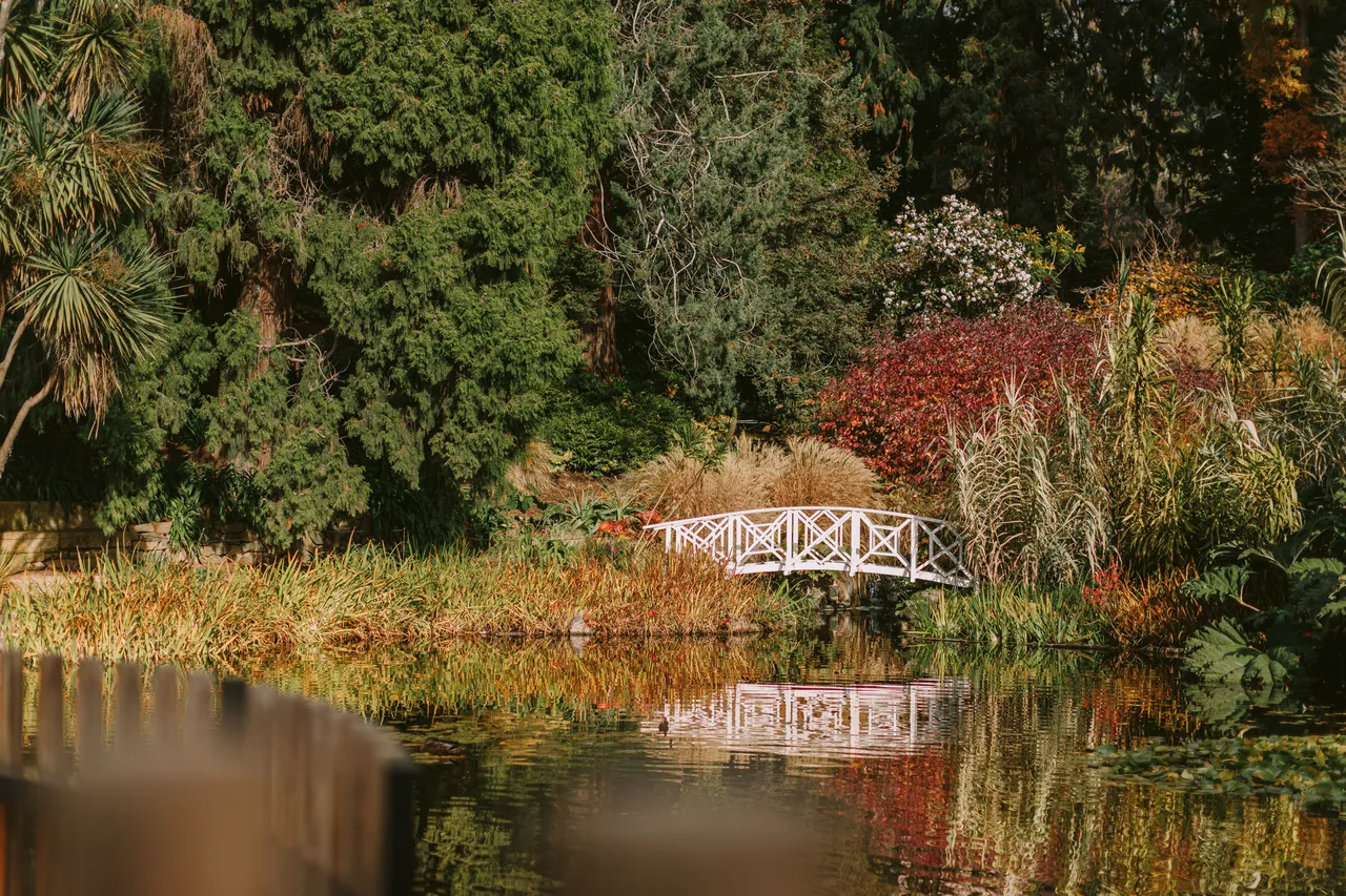 Pond at the Royal Tasmanian Botanical Gardens