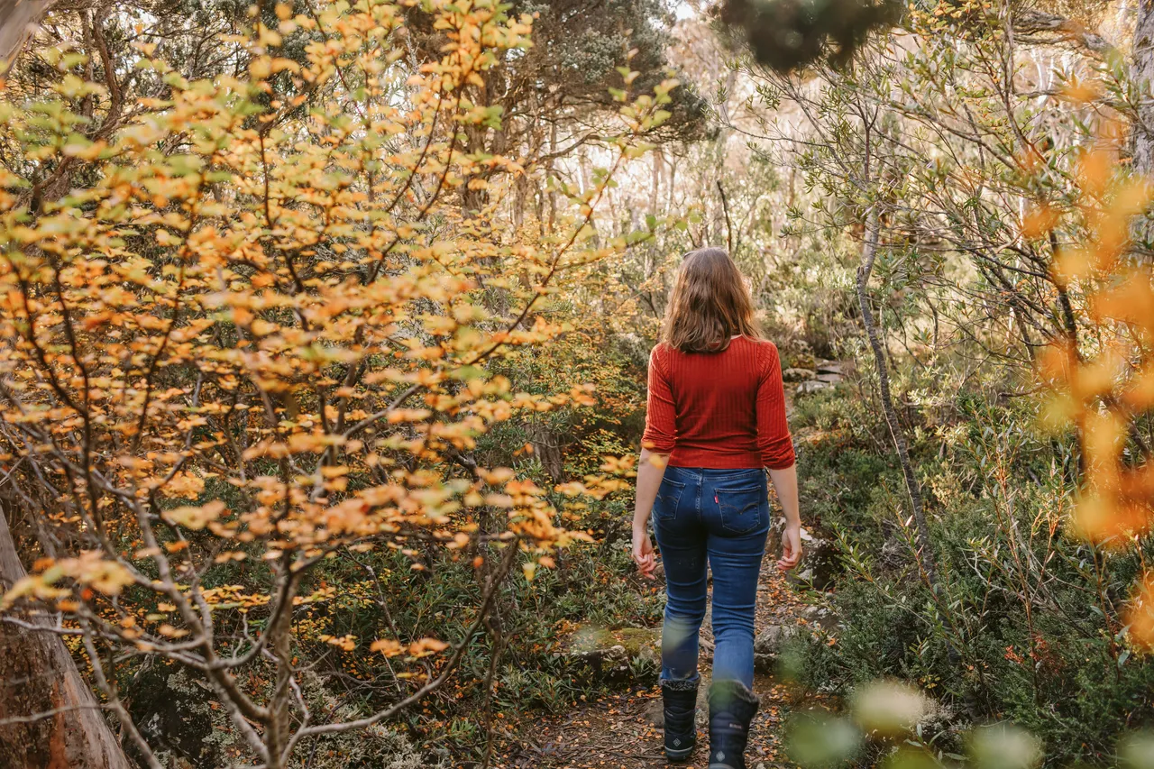 Person Walking Through Fagus