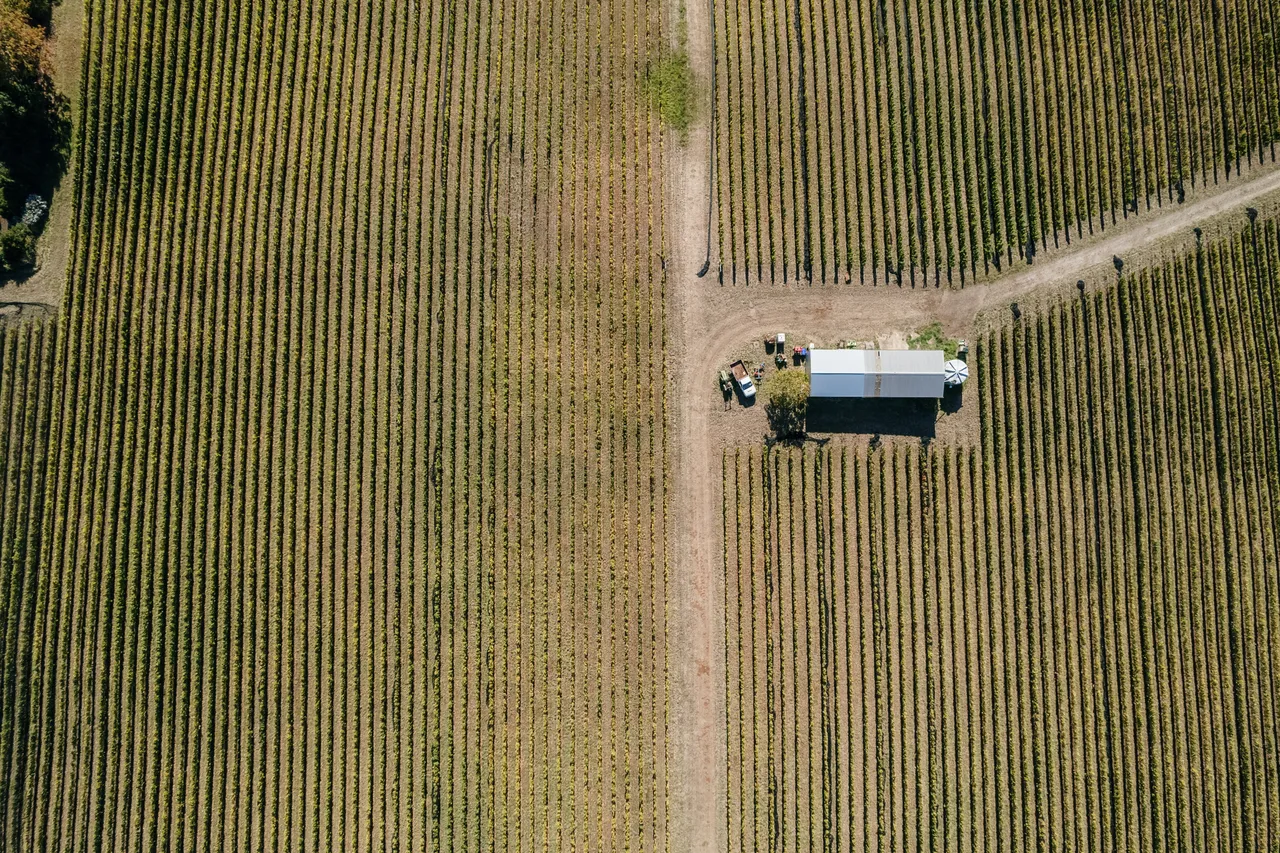 Overlooking Utzinger Wines