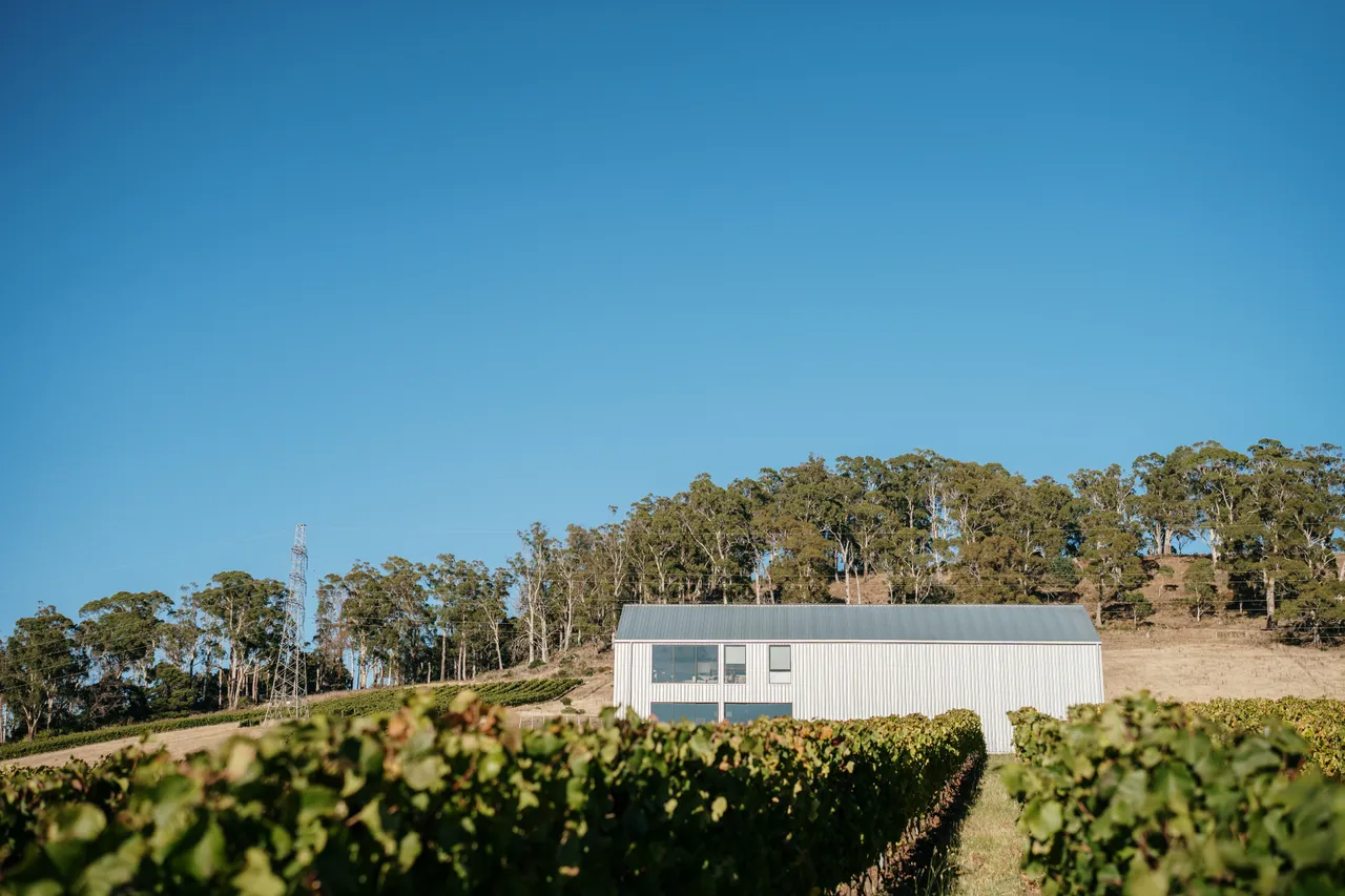 Shed at Utzinger Wines