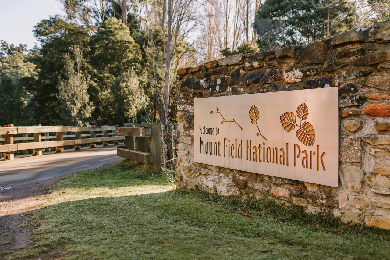 Mount Field Entrance