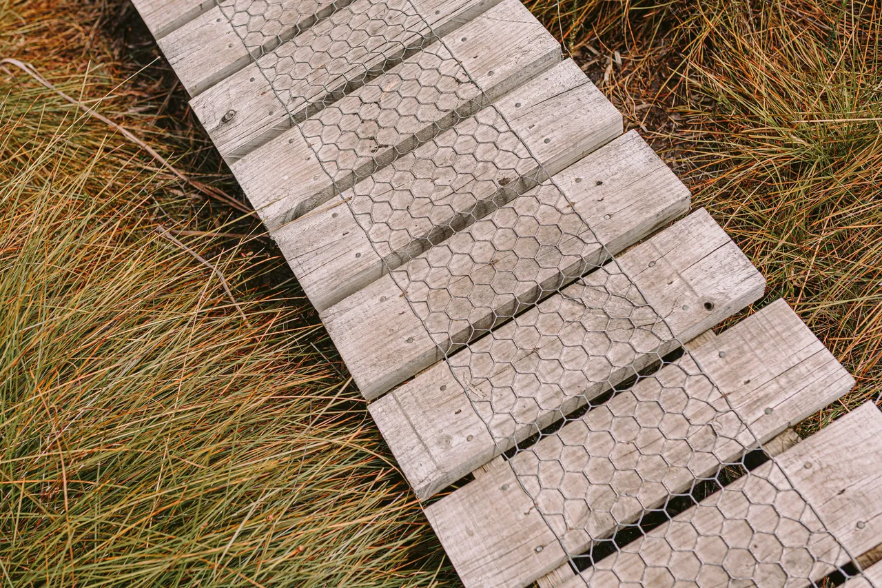 Walking Track Boardwalk